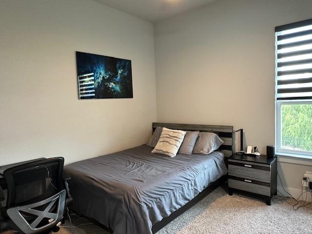 900 Elenora Dr, Leander, TX 78641 - bedroom featuring carpet floors