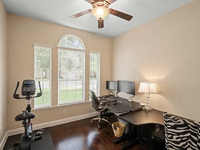 2520 Butler National Dr, Pflugerville, TX 78660 - office space featuring plenty of natural light, hardwood / wood-style flooring, and a ceiling fan