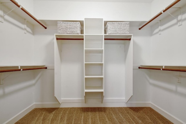 2109 Meadow View Dr, San Marcos, TX 78666 - walk in closet featuring carpet