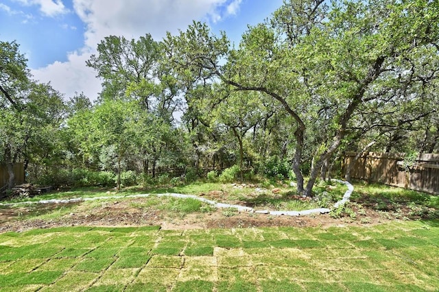 2109 Meadow View Dr, San Marcos, TX 78666 - view of yard
