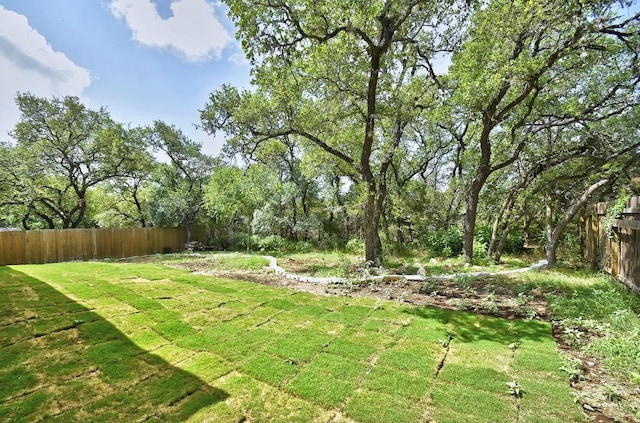2109 Meadow View Dr, San Marcos, TX 78666 - view of fenced yard