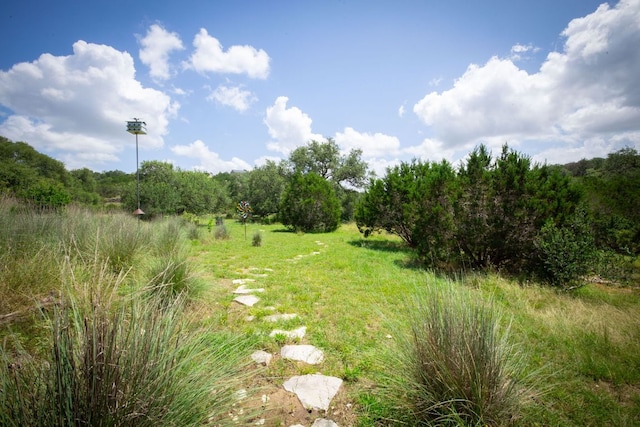 2250 Meritage, New Braunfels, TX 78132 - view of yard