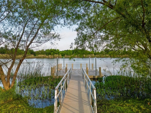 605 Liard River Rd, Hutto, TX 78634 - dock featuring a water view