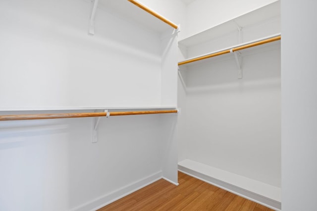 816 S Center St, Austin, TX 78704 - photo 30