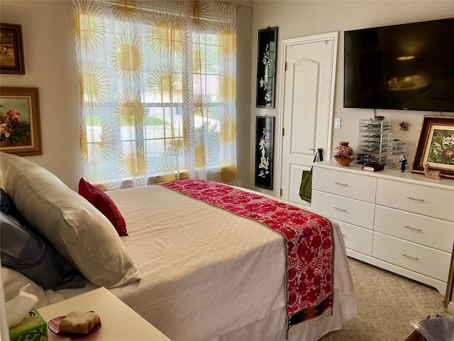 264 Bonner Blvd, New Braunfels, TX 78130 - photo 25