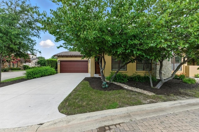 306 Amiata Ave, Lakeway, TX 78734 - photo 35