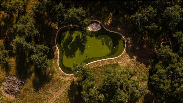 790 Enchanted Oaks Dr, Driftwood, TX 78619 - drone / aerial view