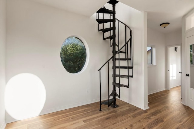 790 Enchanted Oaks Dr, Driftwood, TX 78619 - staircase featuring wood finished floors