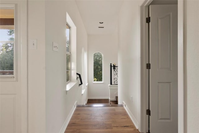 790 Enchanted Oaks Dr, Driftwood, TX 78619 - corridor with wood finished floors and baseboards