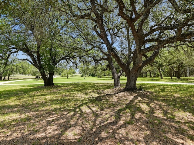 900 Crk 282, Liberty Hill, TX 78642 - view of green lawn