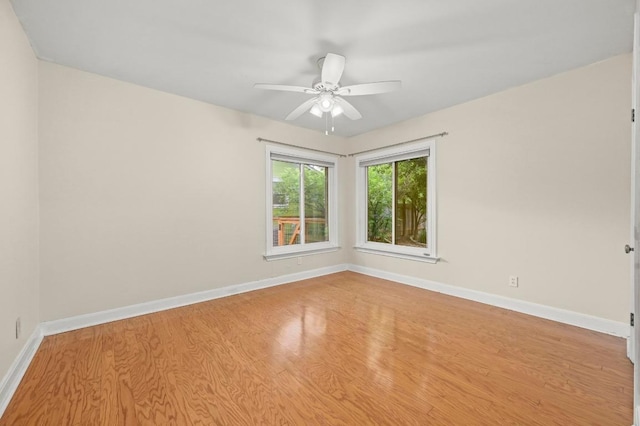 1209 Payne Ave, Austin, TX 78757 - photo 12