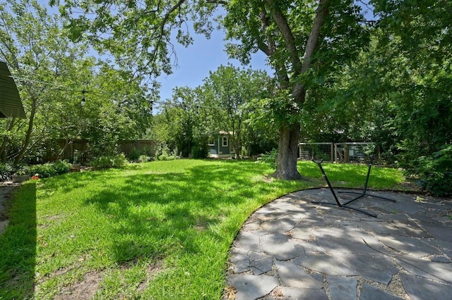 1209 Payne Ave, Austin, TX 78757 - view of yard featuring a patio