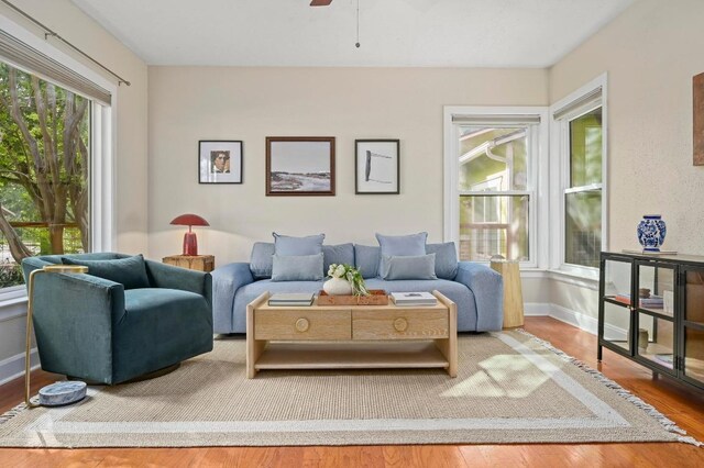 1209 Payne Ave, Austin, TX 78757 - photo 3