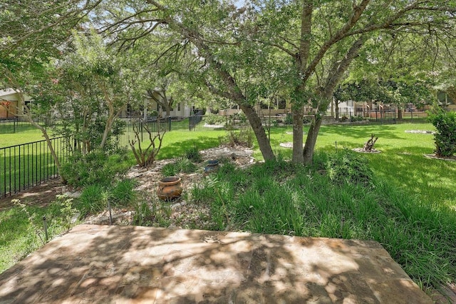113 Stetson Trl, Georgetown, TX 78633 - fenced backyard featuring a patio