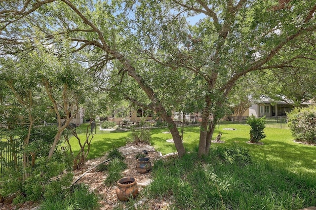 113 Stetson Trl, Georgetown, TX 78633 - view of yard
