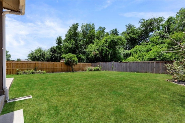 2818 Shadowpoint Cv, Round Rock, TX 78665 - view of fenced backyard