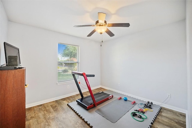 1003 Brayden Cv, Georgetown, TX 78626 - photo 18