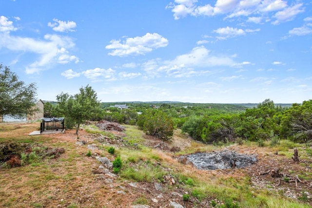 215 Vail River Rd, Dripping Springs, TX 78620 - photo 19
