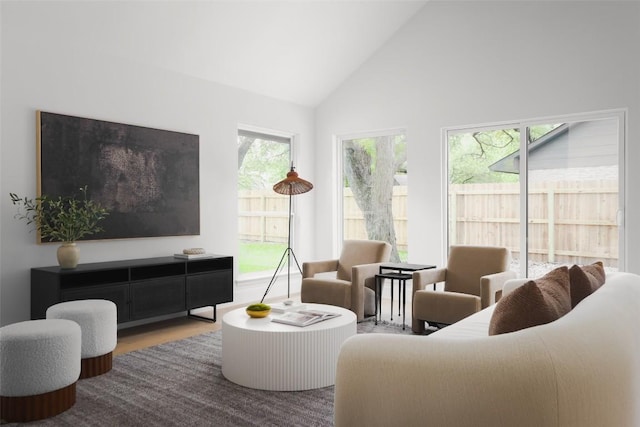 11707 Barrington Way, Austin, TX 78759 - living area featuring high vaulted ceiling and wood finished floors