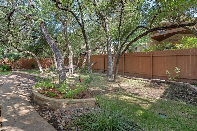 413 Fair Oaks Dr, Georgetown, TX 78628 - view of fenced backyard