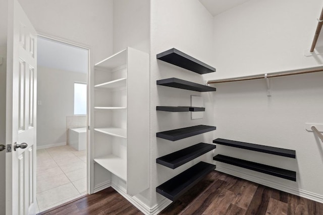 6042 Roma St, Round Rock, TX 78665 - walk in closet with dark wood-style flooring