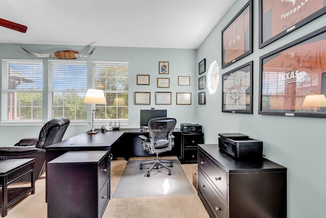 8910 Tweed Berwick Dr, Austin, TX 78750 - photo 24