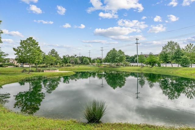 904 Astoria St, Cedar Park, TX 78613 - water view
