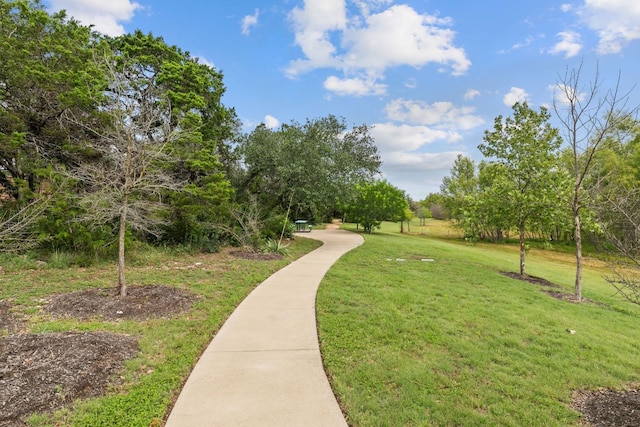 904 Astoria St, Cedar Park, TX 78613 - view of property's community featuring a yard