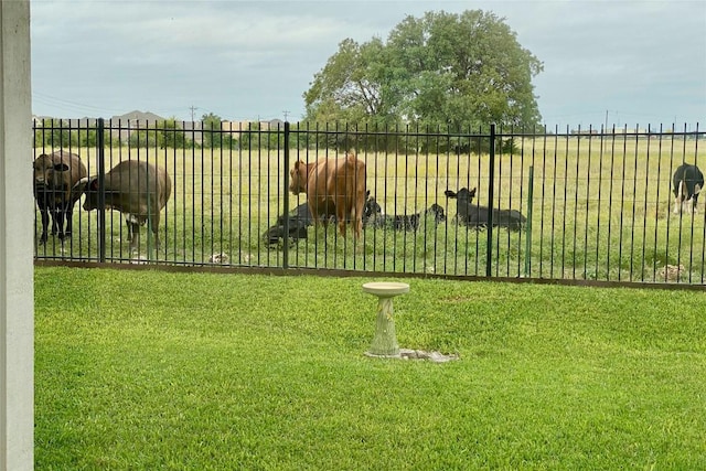 7817 Little Deer Trl, Georgetown, TX 78628 - photo 19