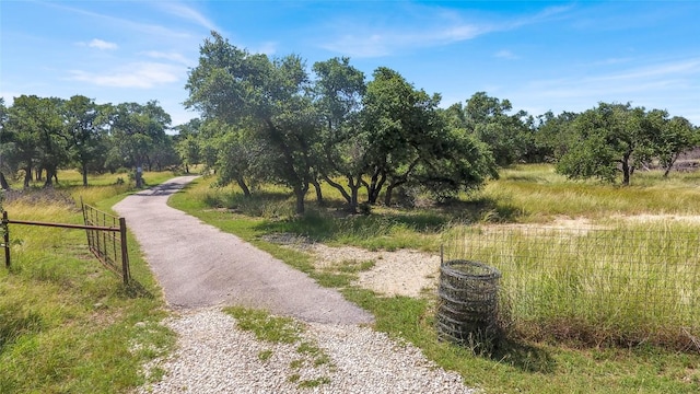 1360 County Road 233, Florence, TX 76527 - view of community with asphalt driveway