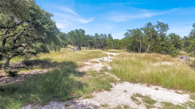 1360 County Road 233, Florence, TX 76527 - view of woods