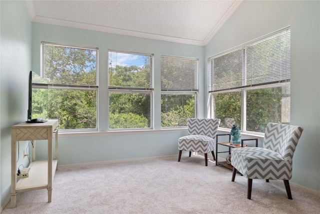 11558 Gun Fight Ln, Austin, TX 78748 - photo 20