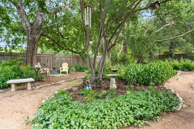 11558 Gun Fight Ln, Austin, TX 78748 - photo 9