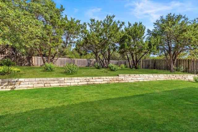 204 S Meadowlark St, Lakeway, TX 78734 - view of fenced backyard