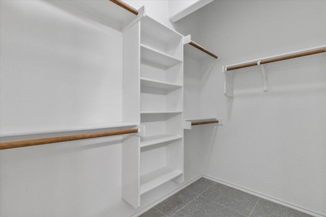 204 S Meadowlark St, Lakeway, TX 78734 - view of walk in closet