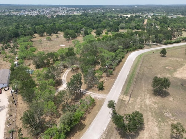 124 Valley Creek Dr, Cedar Creek, TX 78612 - photo 3