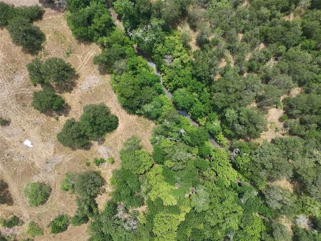124 Valley Creek Dr, Cedar Creek, TX 78612 - photo 7