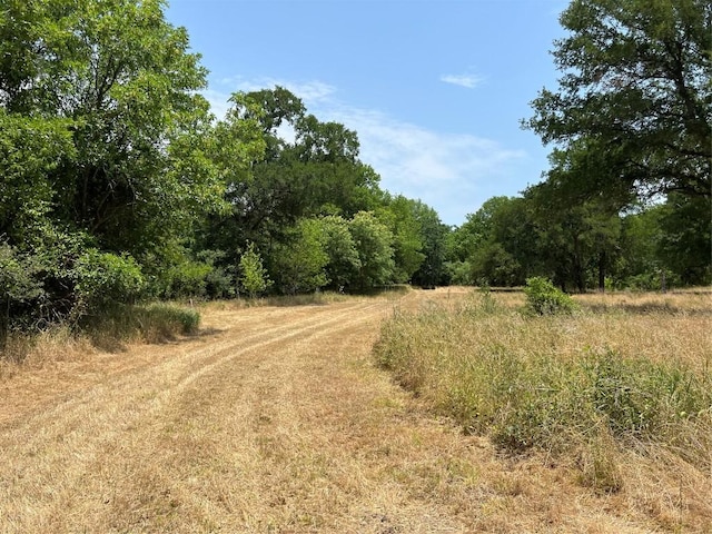 124 Valley Creek Dr, Cedar Creek, TX 78612 - photo 8