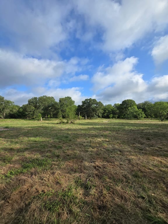 124 Valley Creek Dr, Cedar Creek, TX 78612 - view of woods with a view of countryside