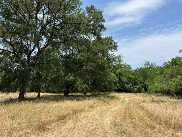 124 Valley Creek Dr, Cedar Creek, TX 78612 - photo 9