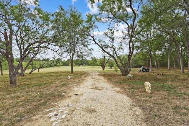 124 Valley Creek Dr, Cedar Creek, TX 78612 - photo 35