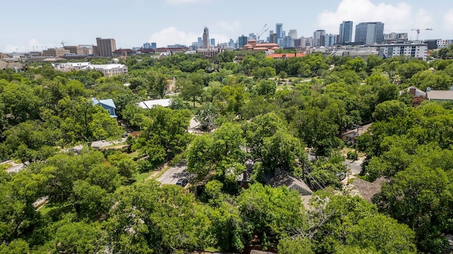3102 Hemphill Park, Austin, TX 78705 - photo 37