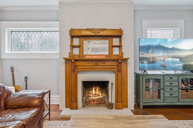 1004 Mitchell St, Gonzales, TX 78629 - living area featuring crown molding, wood finished floors, and a fireplace with flush hearth