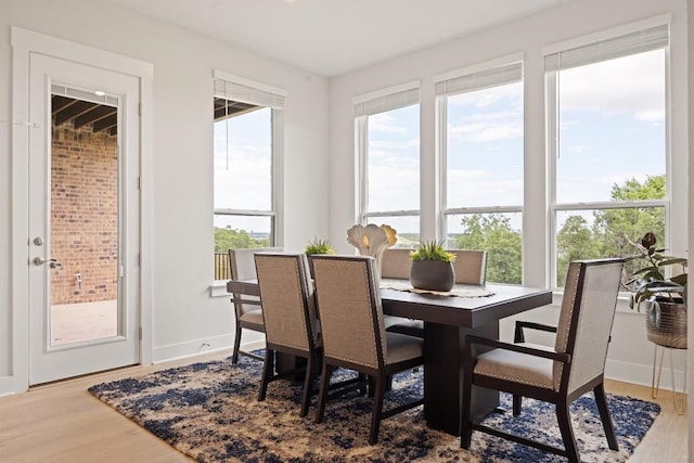 2233 Bellisa Vista Dr, Leander, TX 78641 - dining space featuring wood finished floors and plenty of natural light
