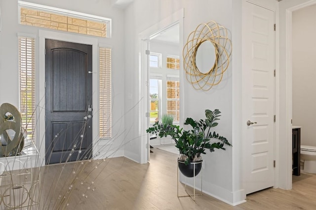 2233 Bellisa Vista Dr, Leander, TX 78641 - entryway featuring wood finished floors and baseboards