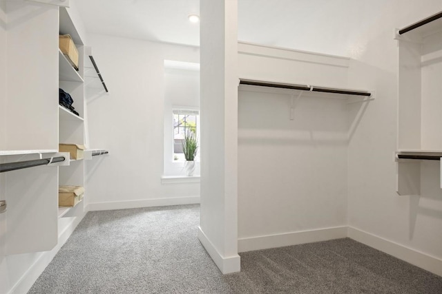 2233 Bellisa Vista Dr, Leander, TX 78641 - spacious closet featuring carpet