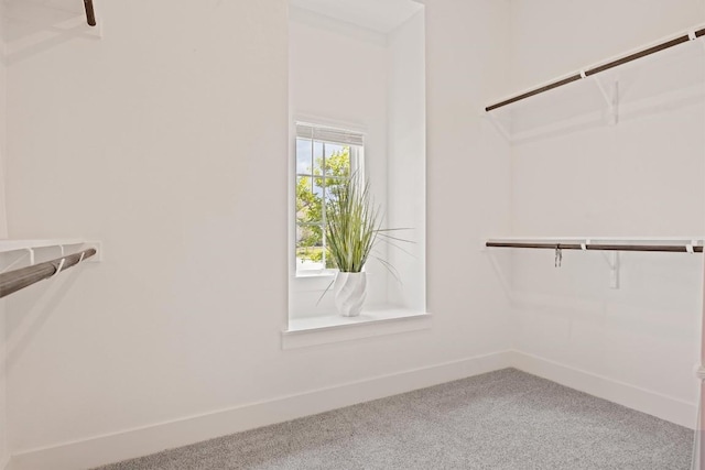 2233 Bellisa Vista Dr, Leander, TX 78641 - walk in closet featuring carpet