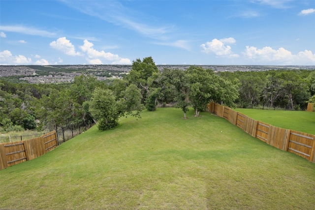 2233 Bellisa Vista Dr, Leander, TX 78641 - view of yard with a forest view