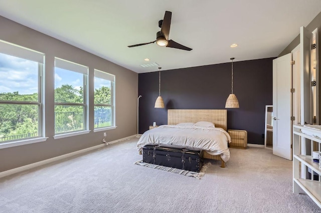 1209 Brasano Pl, Leander, TX 78641 - photo 11