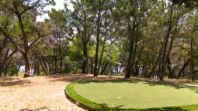1417 Osprey Ridge Loop, Lago Vista, TX 78645 - view of property's community featuring a putting green